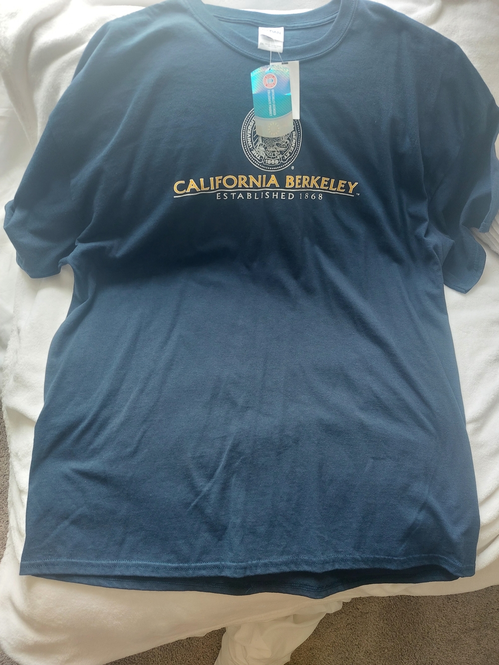 Gildan Navy UC Berkeley Short-Sleeve Graphic Tee 2XL